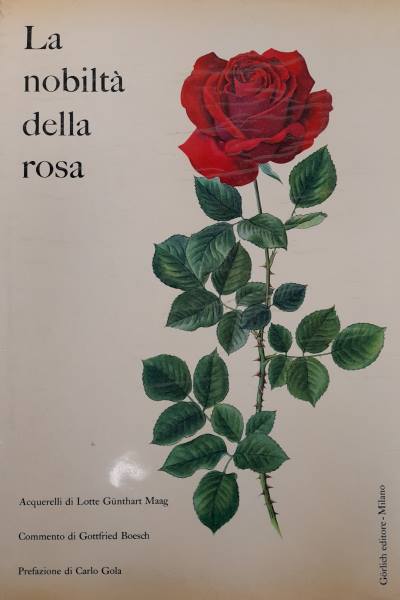 La nobiltà della rosa