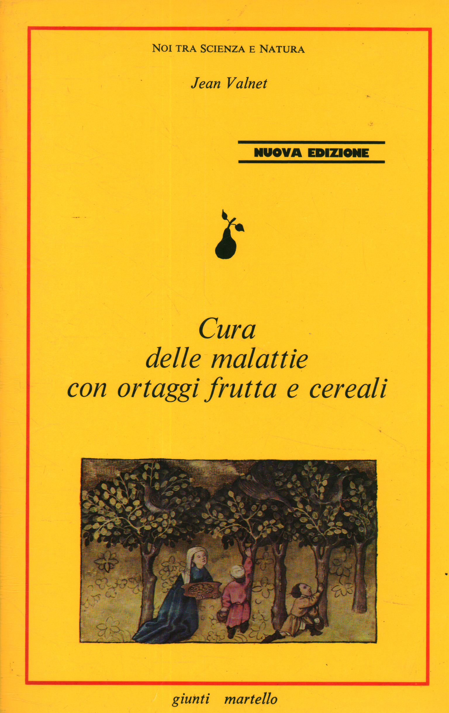 Cura delle malattie con ortaggi frutta%2,Cura delle malattie con ortaggi frutta%2