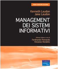 Information systems management