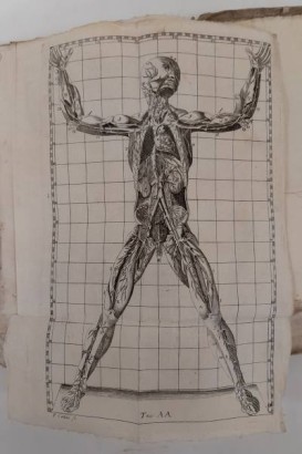 Anatomical structure exposure%,Anatomical structure exposure%,Anatomical structure exposure%,Anatomical structure exposure%