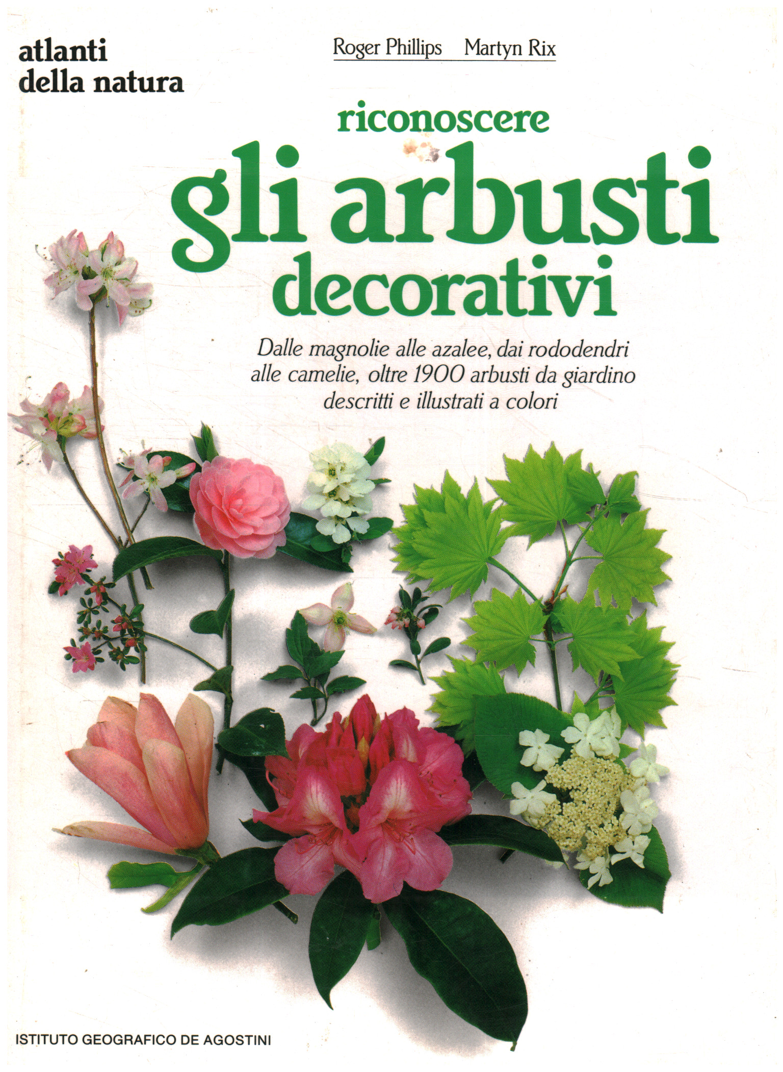 Recognize decorative shrubs