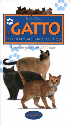 Il gatto