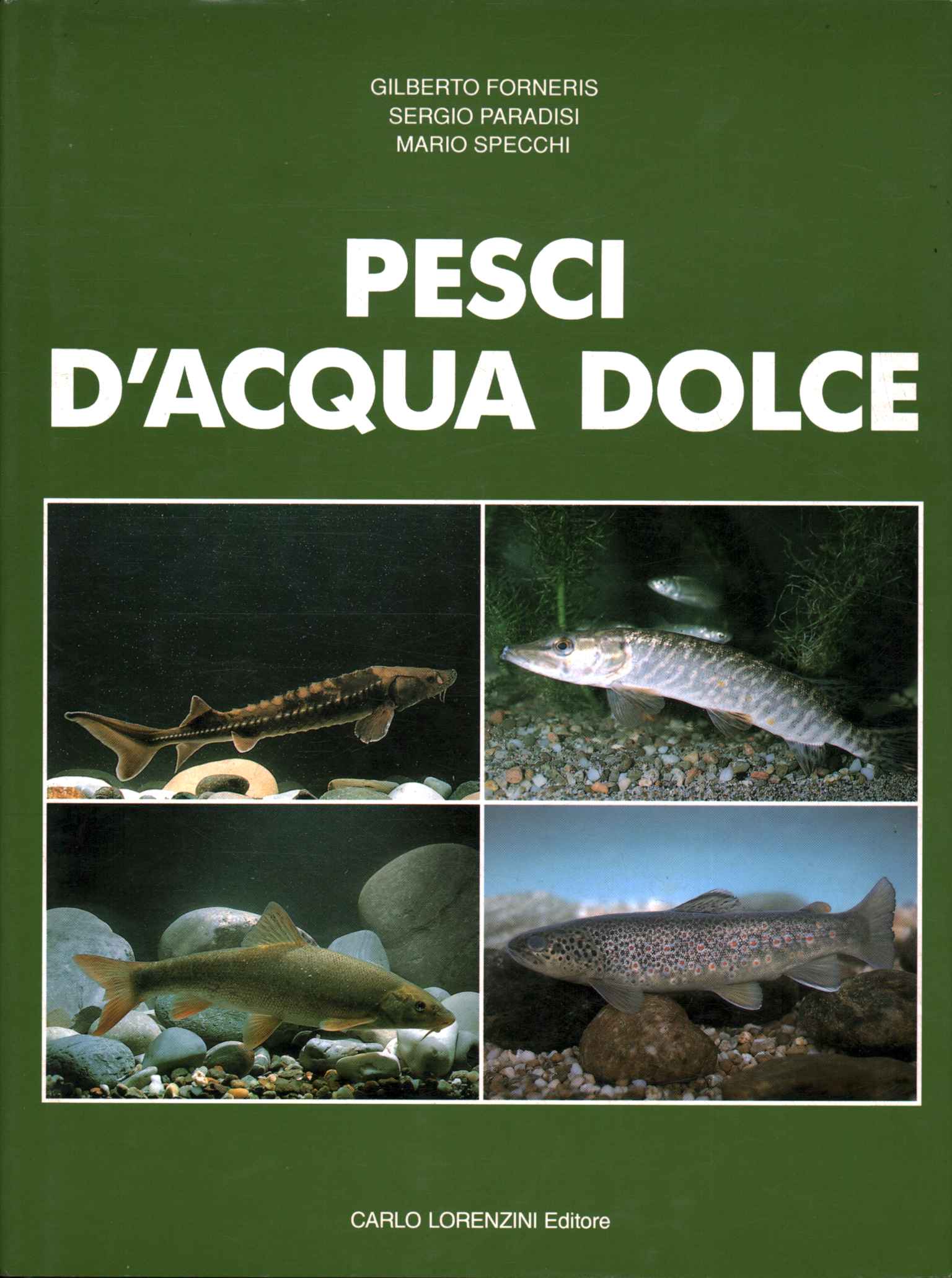 Peces de agua dulce (Volumen 4)