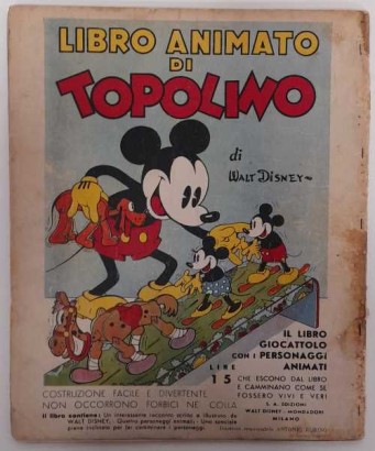 Mickey Mouse Hero of the Air