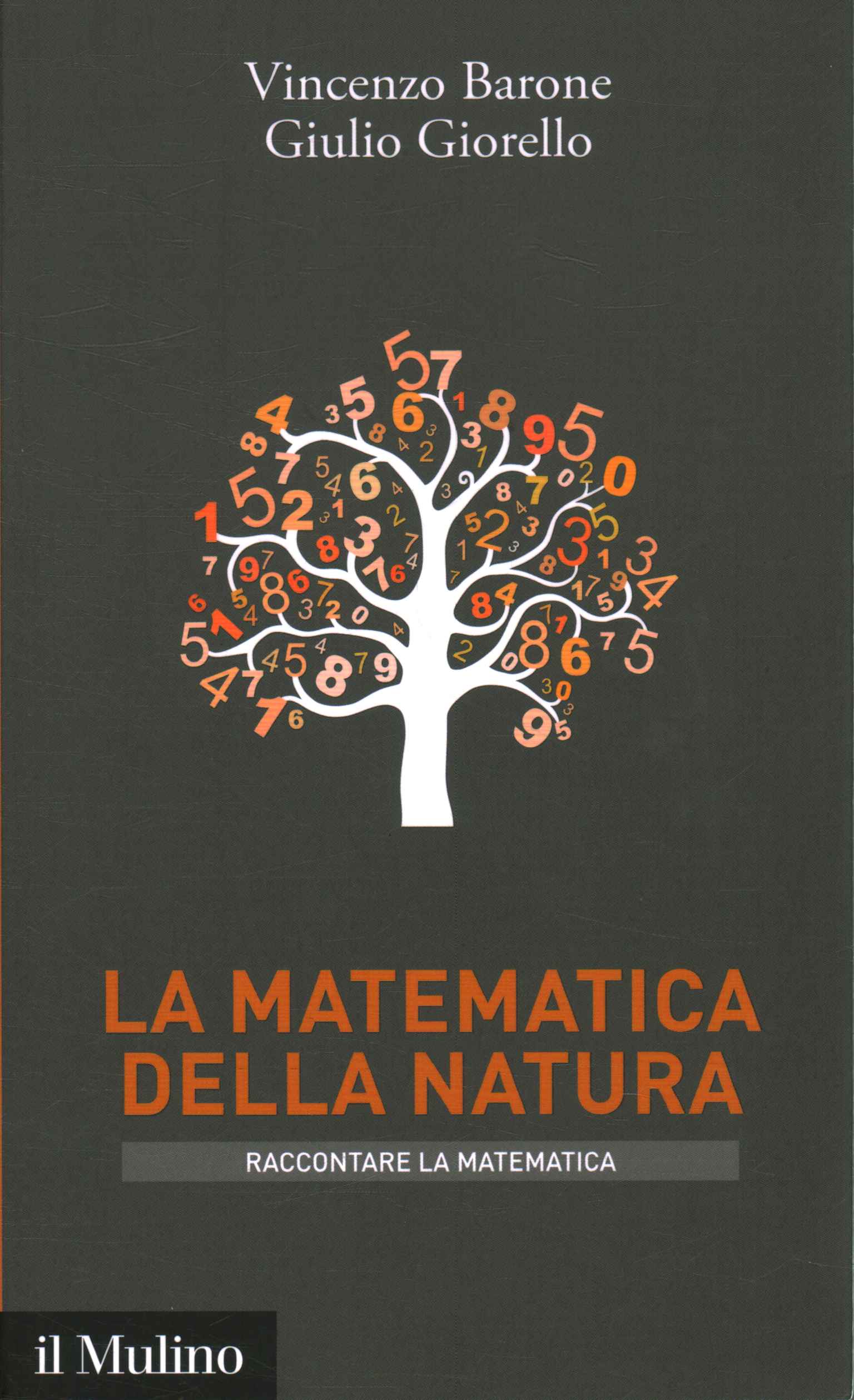 Die Mathematik der Natur