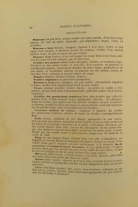 Le Verger oder Geschichte der Kultur und desc.,Le Verger oder Geschichte der Kultur und desc.,Le Verger oder Geschichte der Kultur und desc