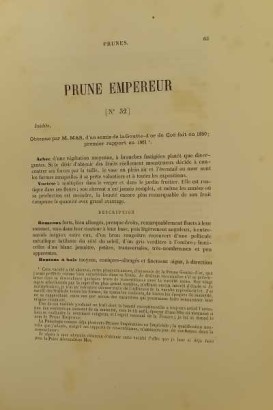 Le Verger oder Geschichte der Kultur und desc.,Le Verger oder Geschichte der Kultur und desc.,Le Verger oder Geschichte der Kultur und desc