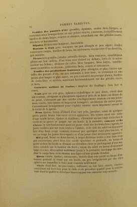 Le Verger oder Geschichte der Kultur und desc.,Le Verger oder Geschichte der Kultur und desc.,Le Verger oder Geschichte der Kultur und desc