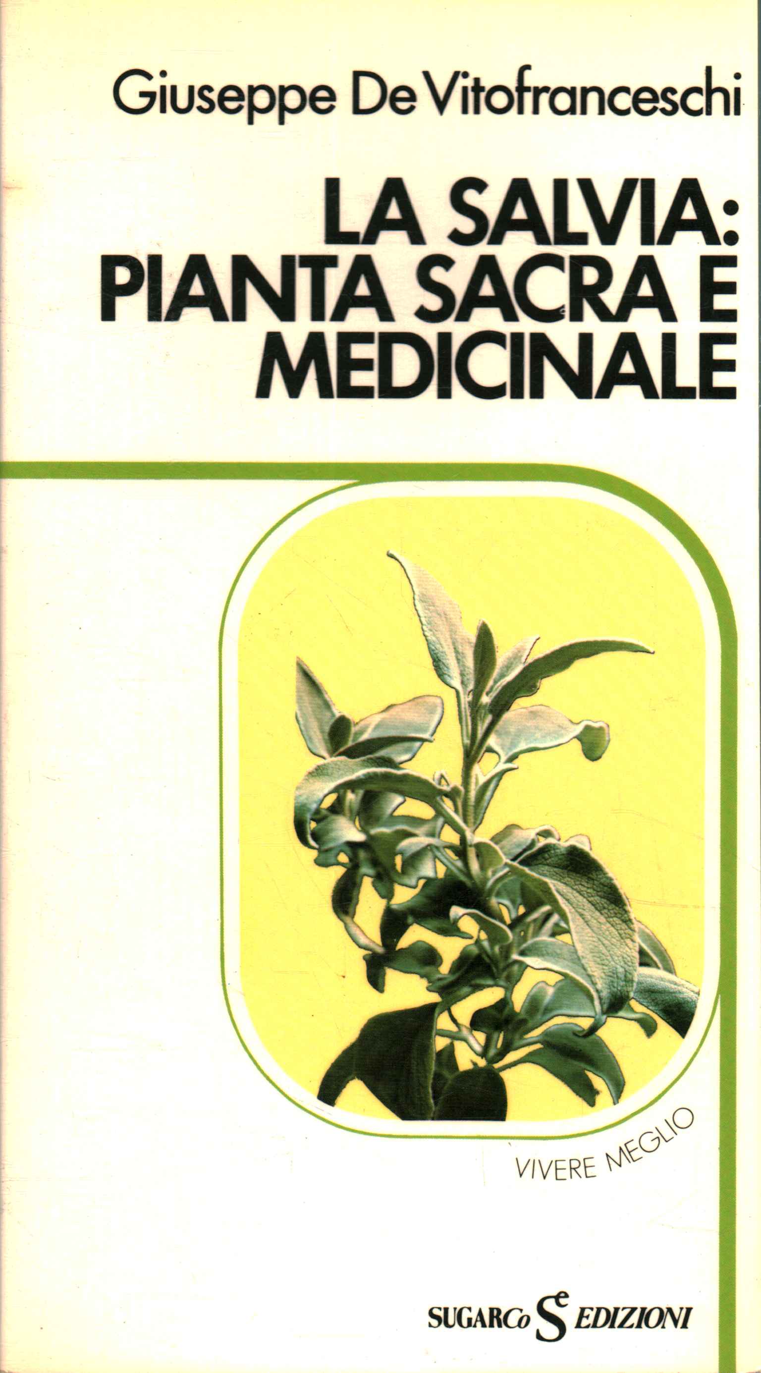 Sauge : plante sacrée et médicinale