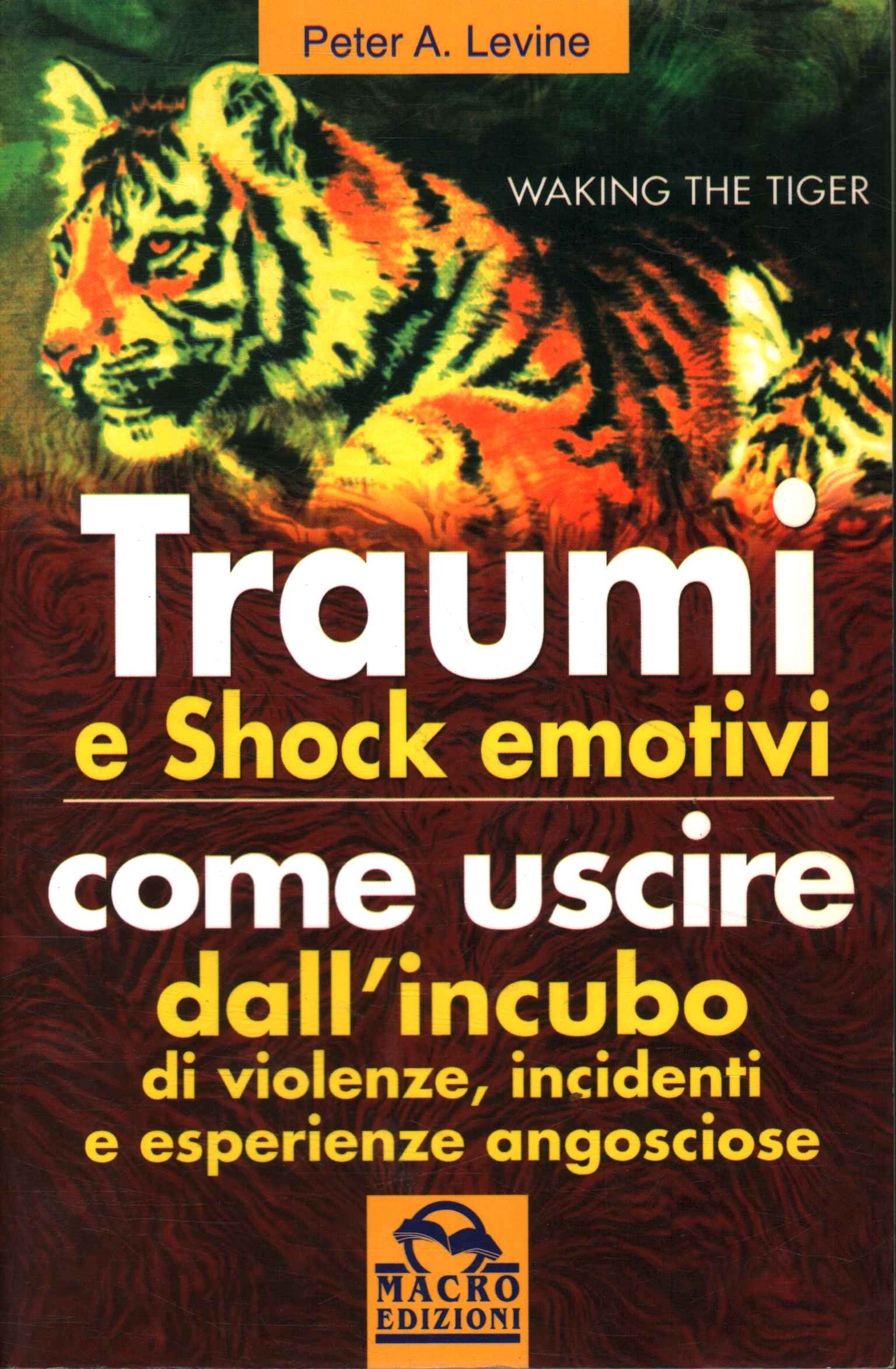 Trauma y shock emocional