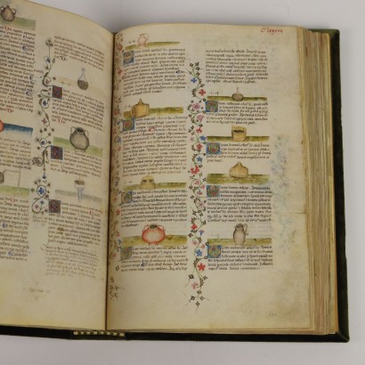 Historia Plantarum Casanatense-Bibliothek