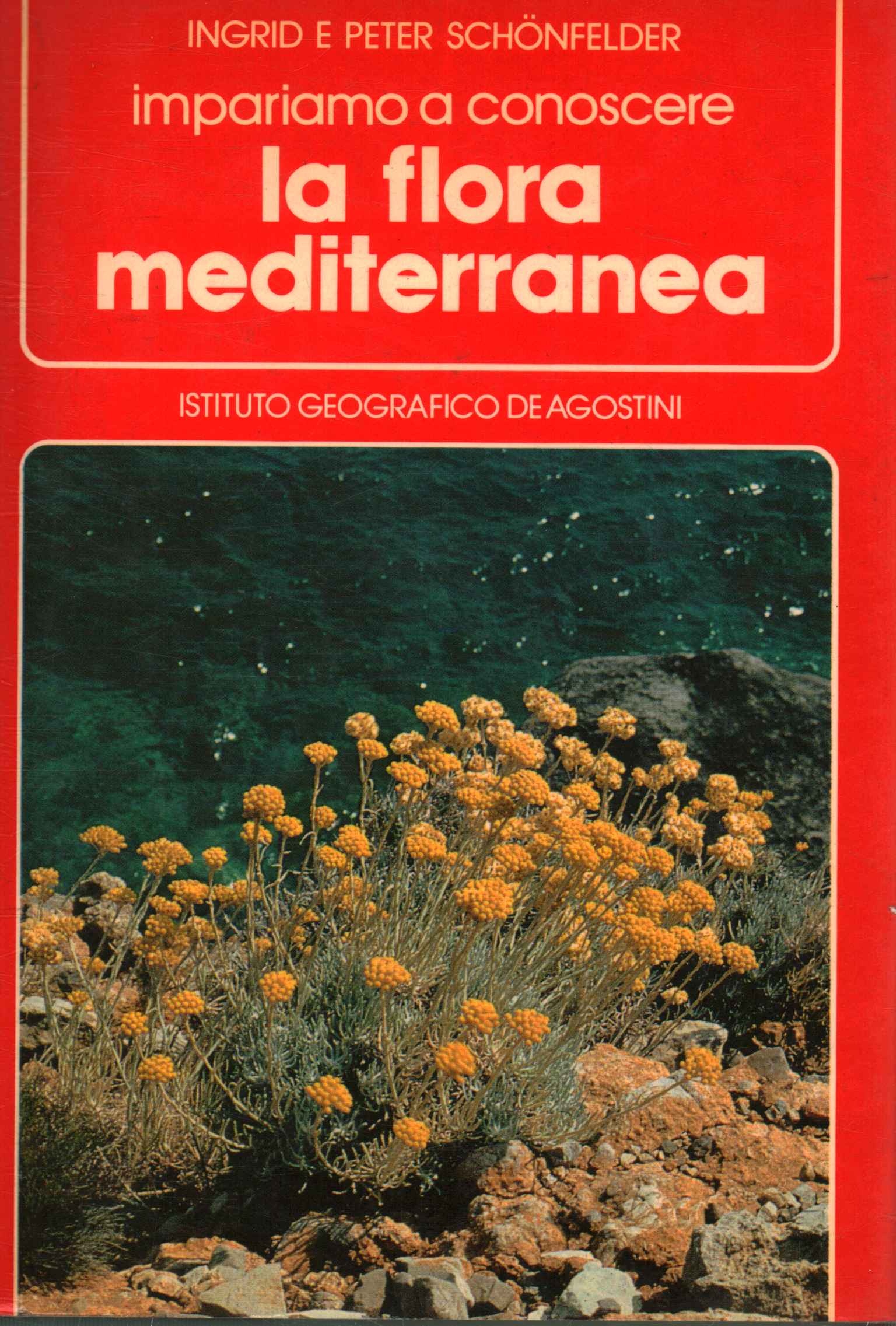 Die mediterrane Flora