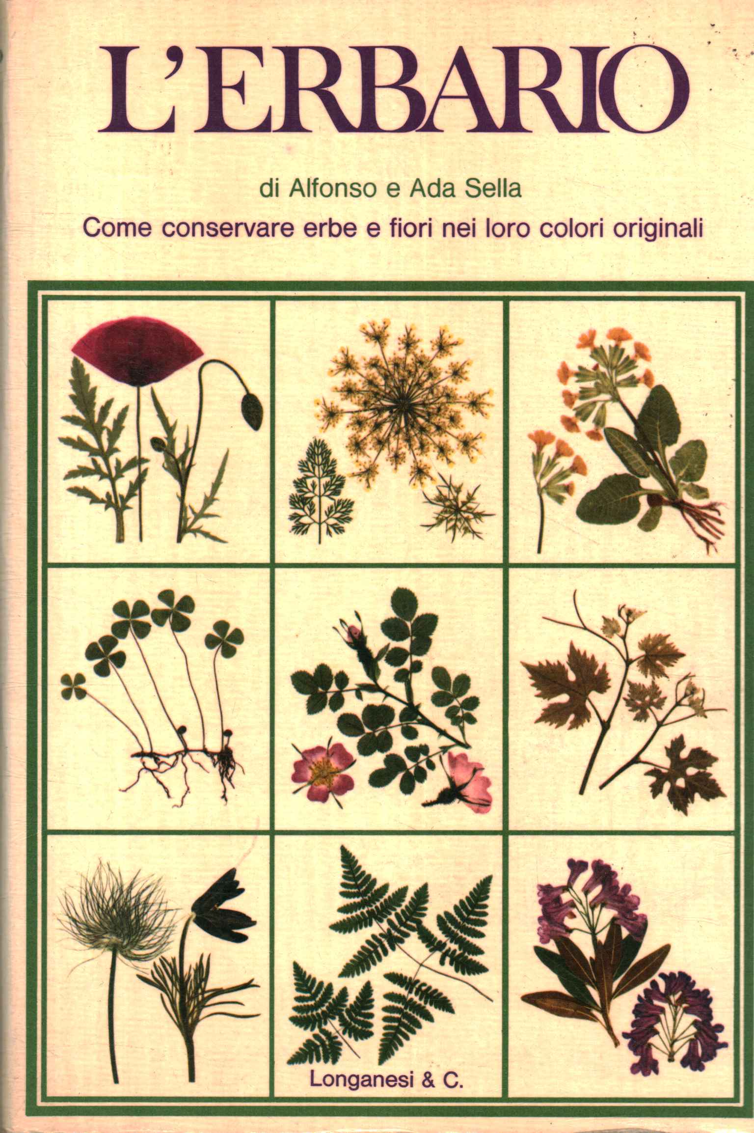 Das Herbarium