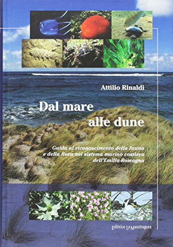 Dal mare alle dune