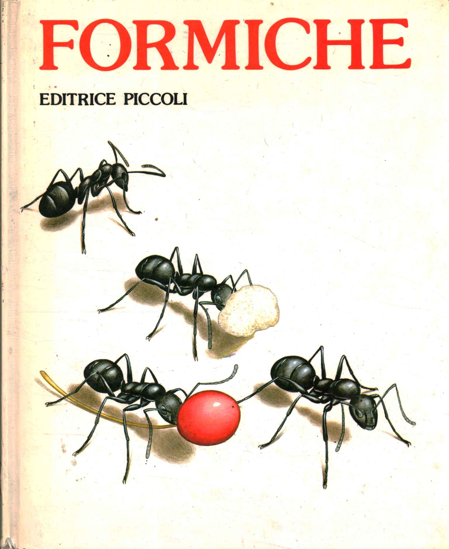 Fourmis