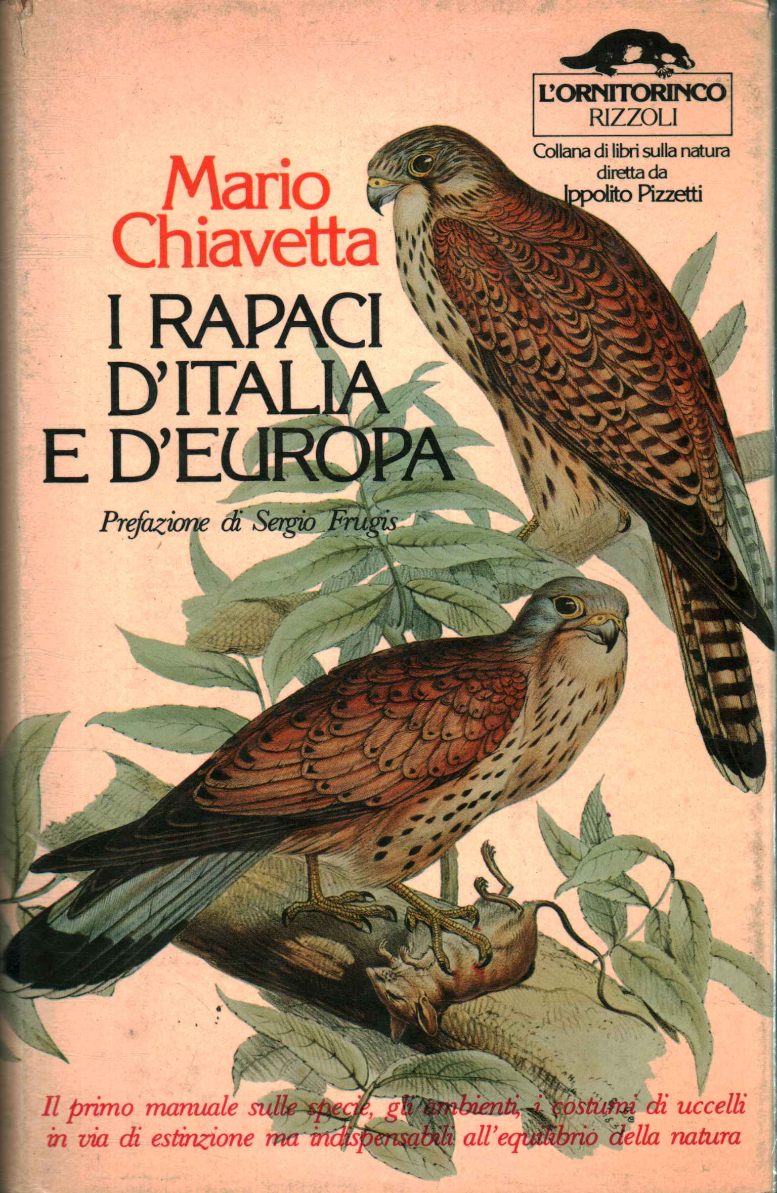 The birds of prey of Italy and Europe