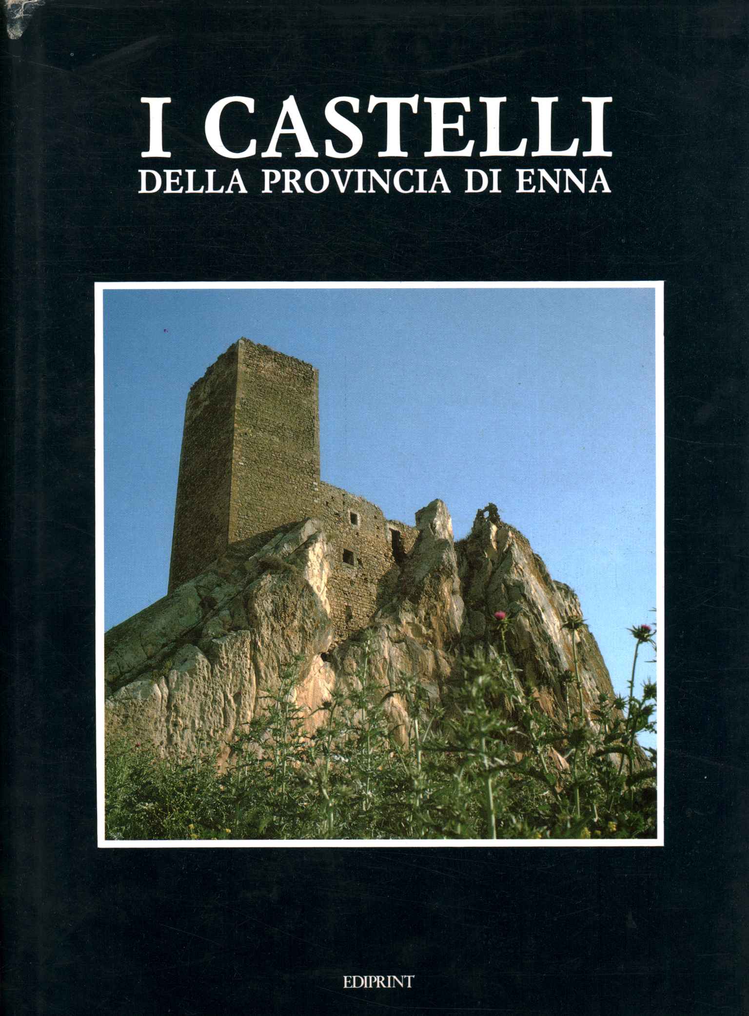 The castles of the province of Enna