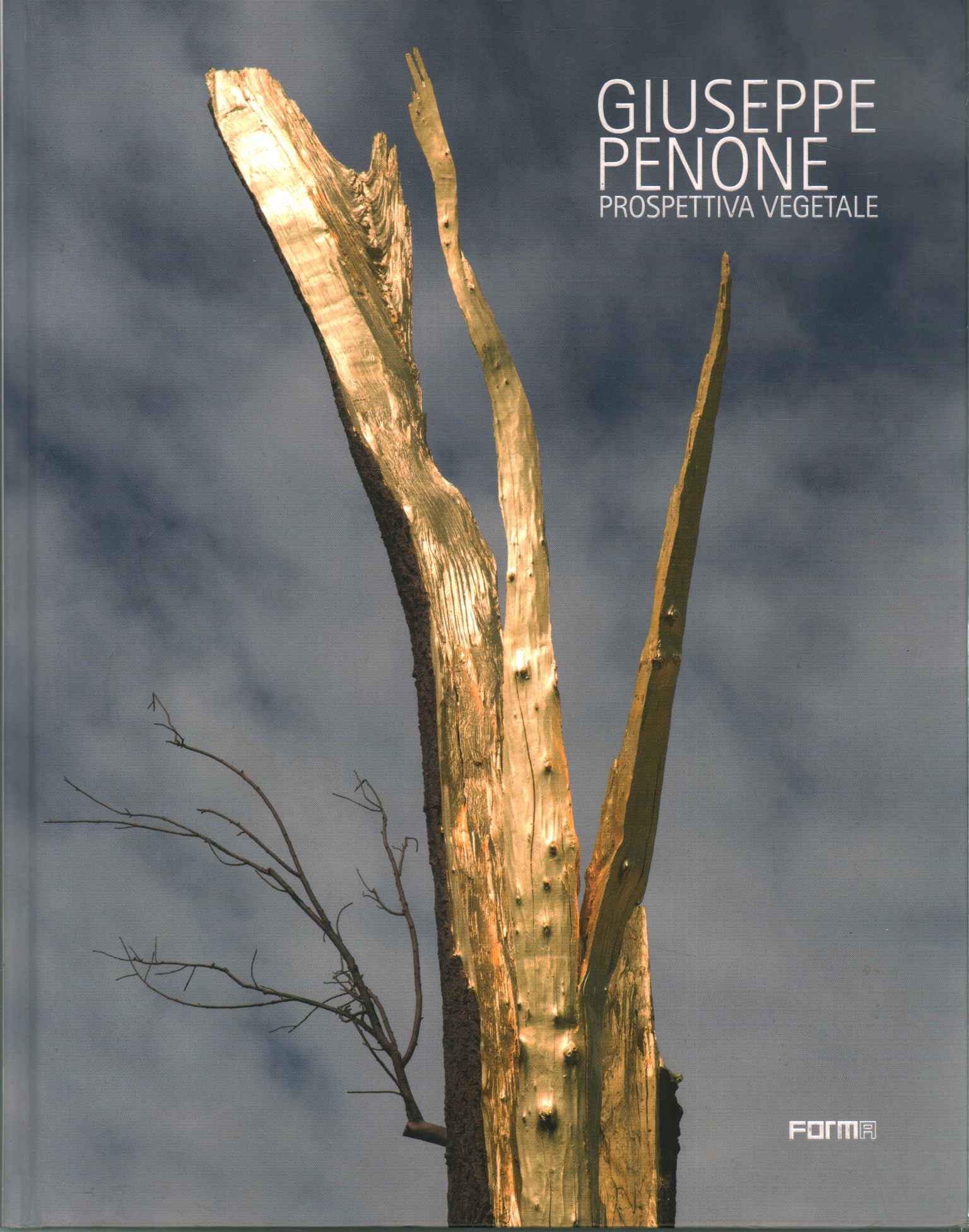 Giuseppe Penone. Prospettiva vegetale