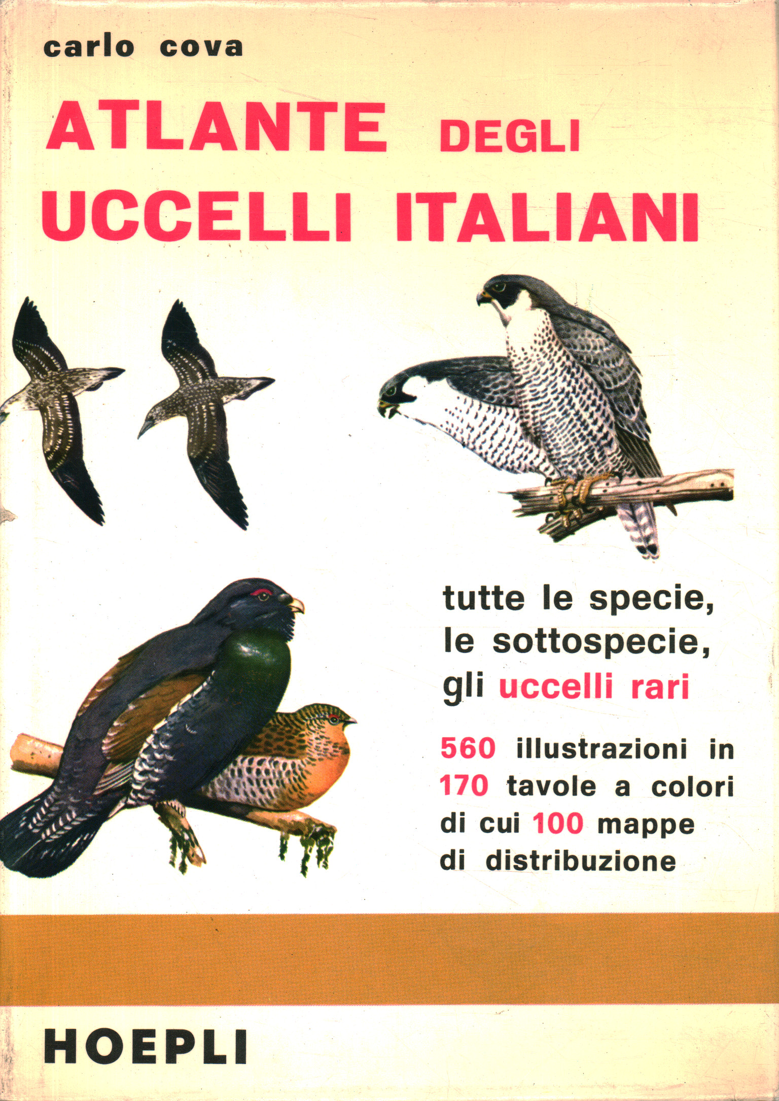 Atlas des oiseaux italiens