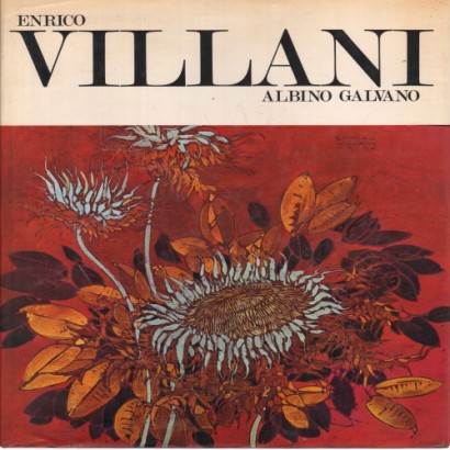 Villani