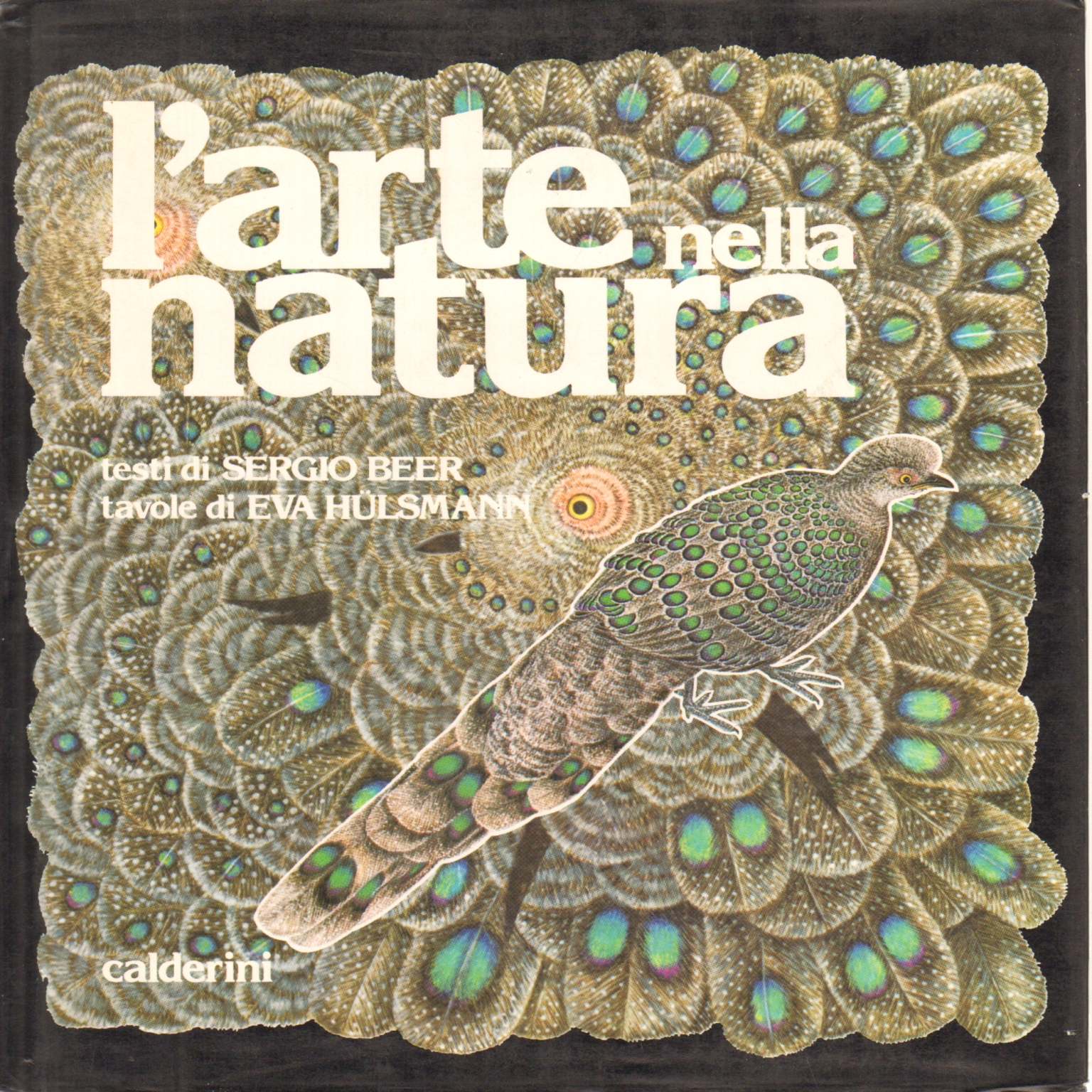 L'Arte nella Natura, Sergio Beer