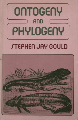 Ontogeny and phylogeny