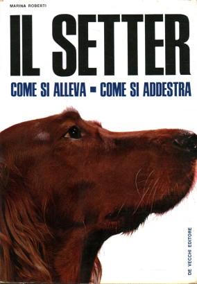 Il setter