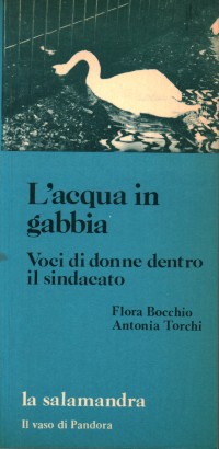 L'acqua in gabbia