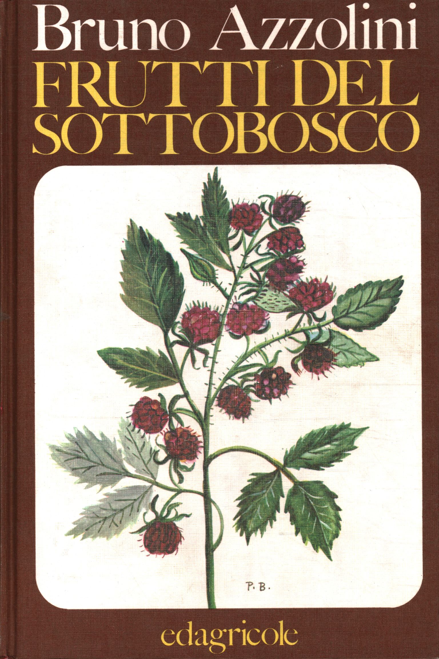 Frutti del sottobosco