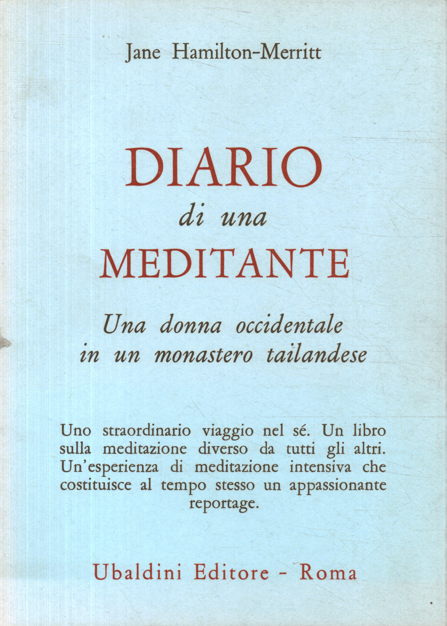 Diary of a meditator